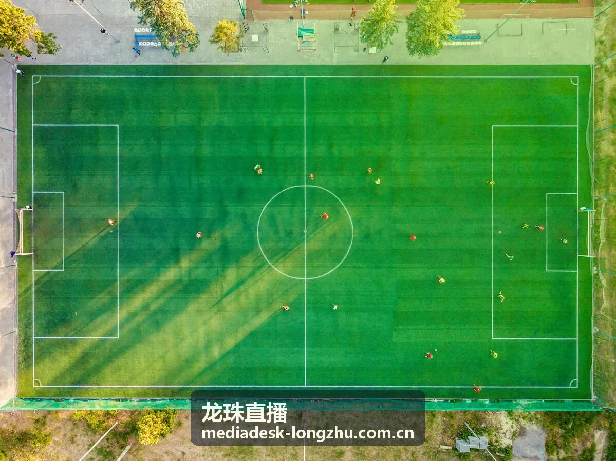 龙珠直播娱乐直播人气案例